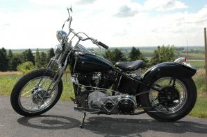 knuckle-head-3294