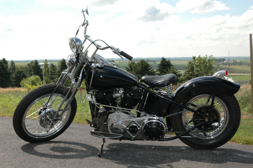 knuckle-head-3294