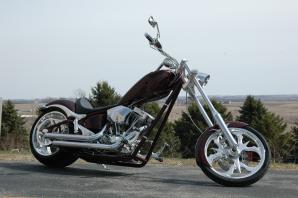 big-dog-5345